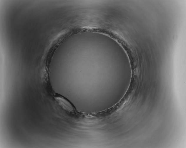 X0000096971398200802221353