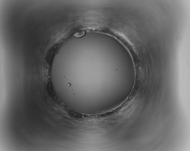 X0000096971399200802221353