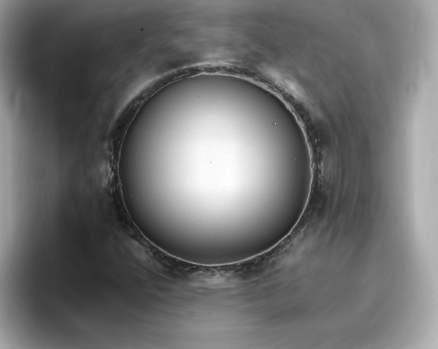 X0000096971400200802221353