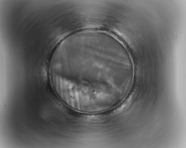 X0000096971401200802221353