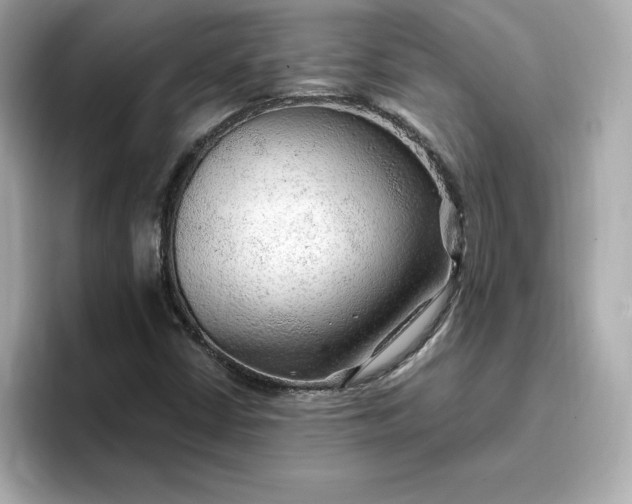 X0000096971402200802221353