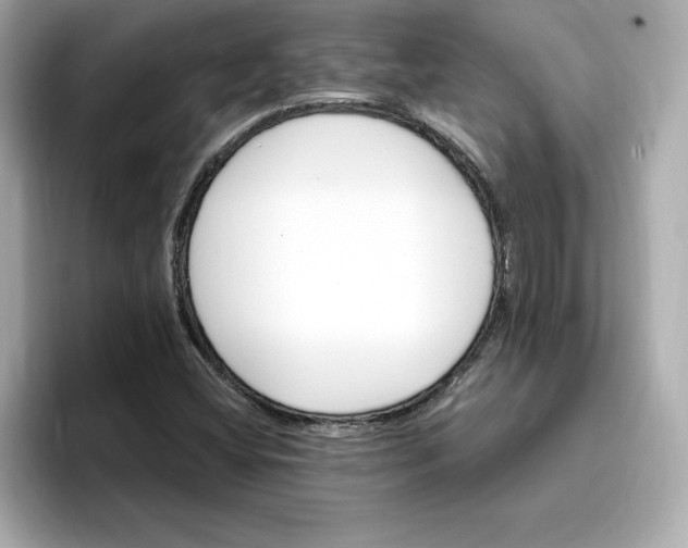 X0000096971404200802221353