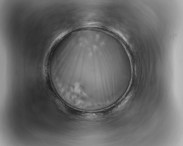 X0000096971405200802221353