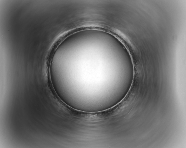 X0000096971408200802221353