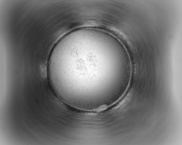 X0000096971409200802221353