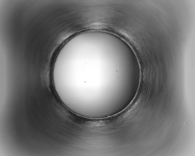 X0000096971410200802221353