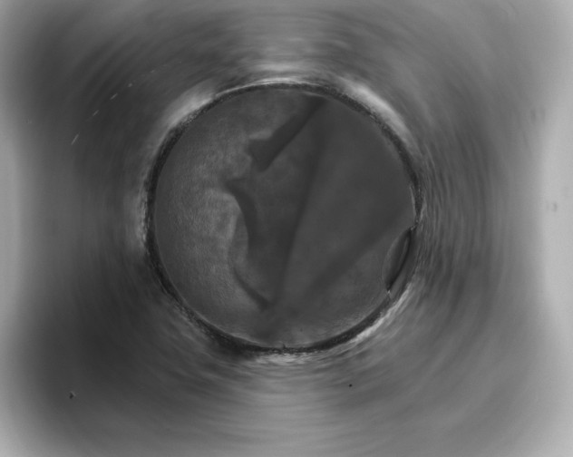 X0000096971411200802221353