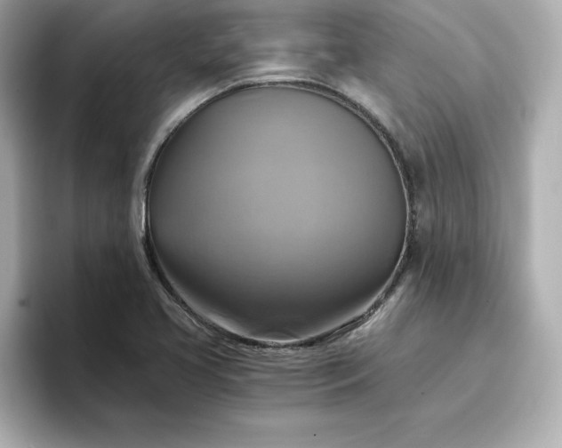 X0000096971413200802221353