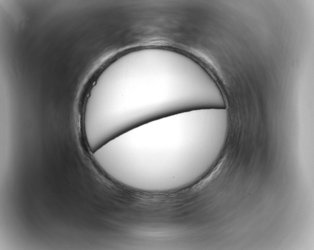 X0000096971414200802221353