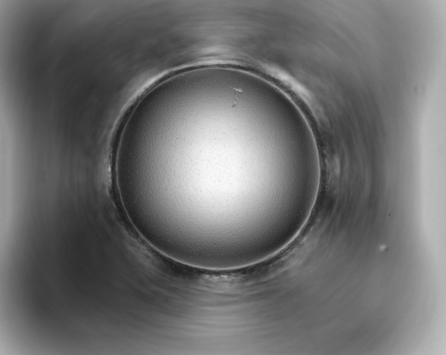 X0000096971415200802221353