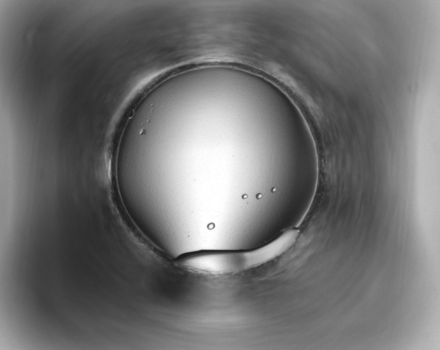 X0000096971416200802221353