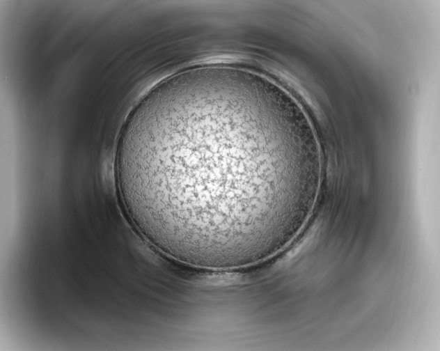 X0000096971417200802221353