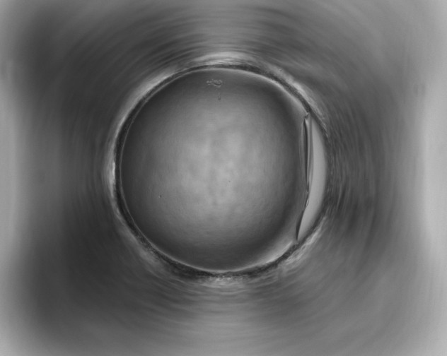 X0000096971418200802221353