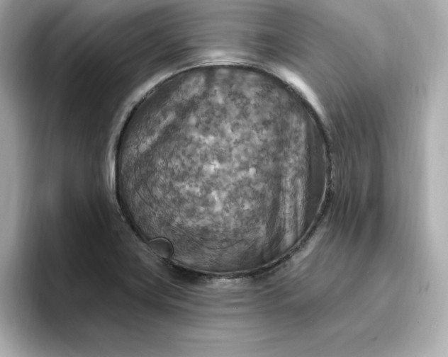 X0000096971419200802221353