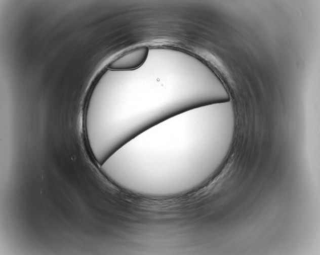 X0000096971420200802221353