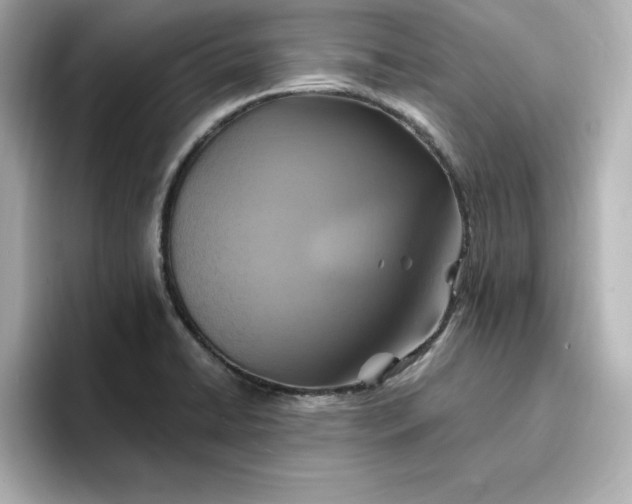 X0000096971422200802221353