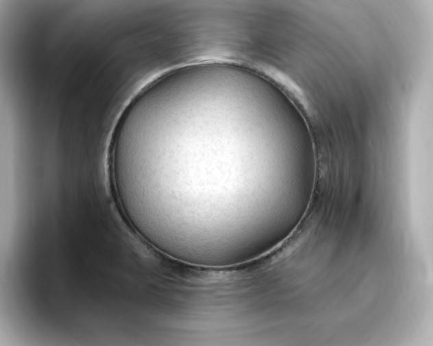 X0000096971423200802221353