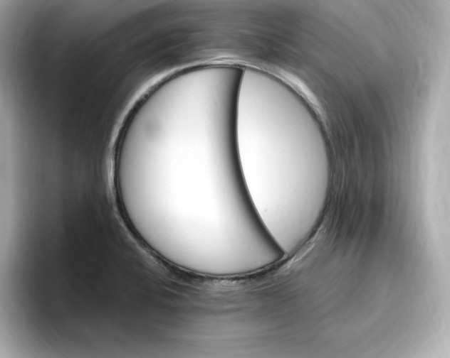 X0000096971424200802221353