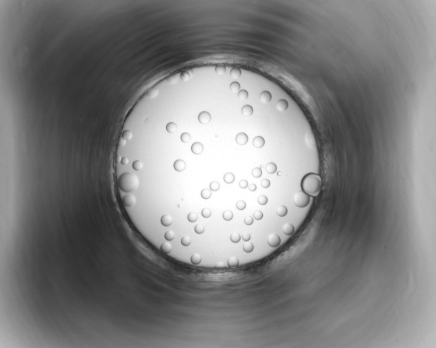 X0000096971425200802221353