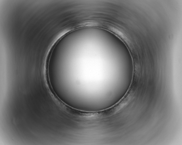 X0000096971426200802221353