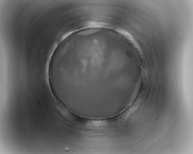 X0000096971427200802221353