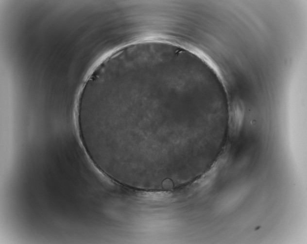 X0000096971429200802221353