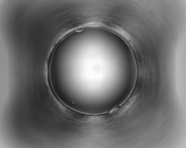 X0000096971430200802221353