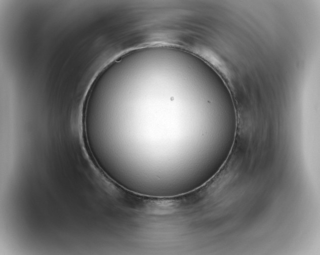 X0000096971431200802221353