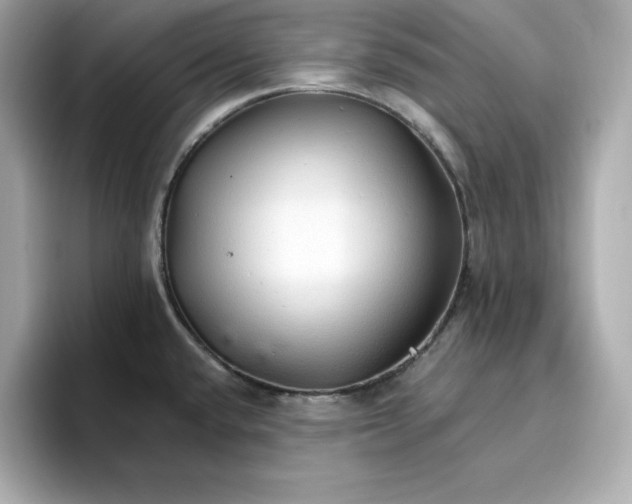 X0000096971432200802221353