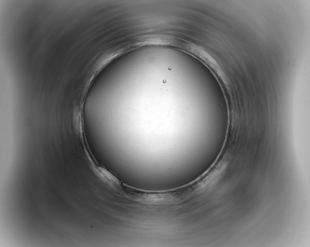 X0000096971433200802221353