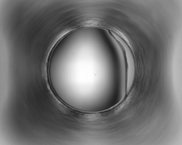 X0000096971434200802221353