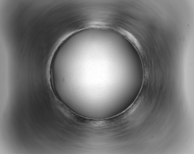 X0000096971435200802221353