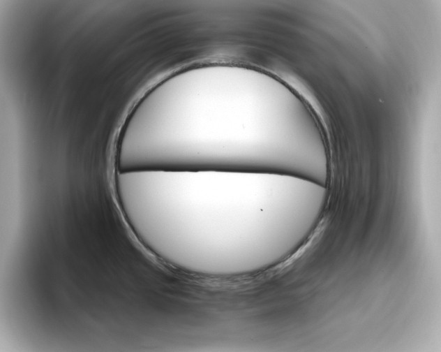 X0000096971437200802221353