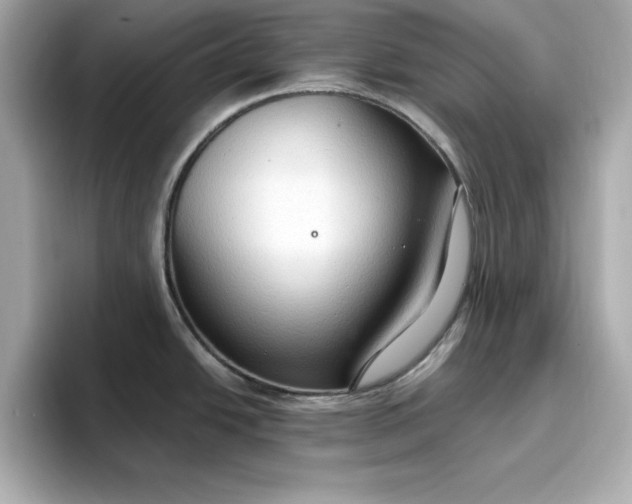 X0000096971438200802221353