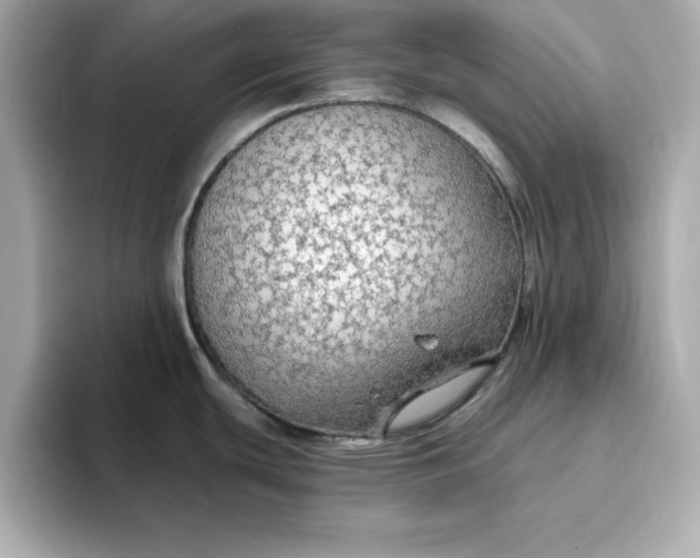 X0000096971439200802221353