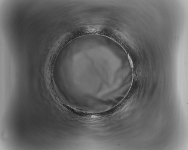 X0000096971441200802221353