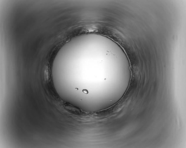 X0000096971442200802221353