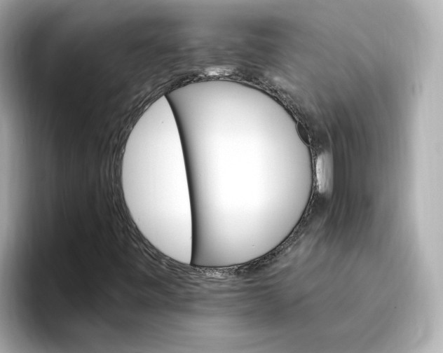 X0000096971443200802221353