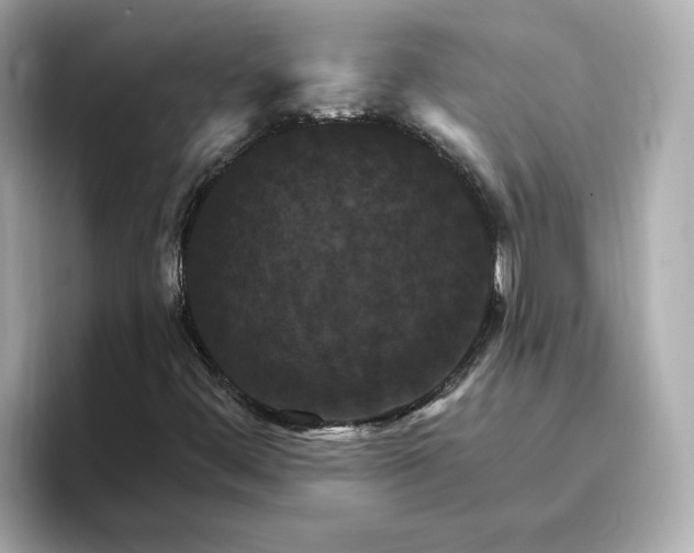 X0000096971444200802221353