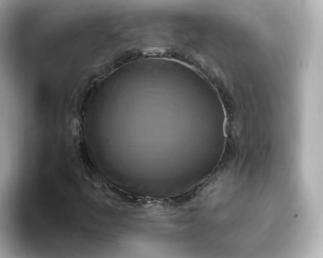 X0000096971445200802221353