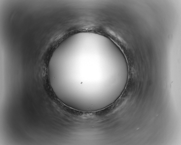 X0000096971447200802221353