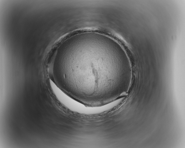 X0000096971448200802221353