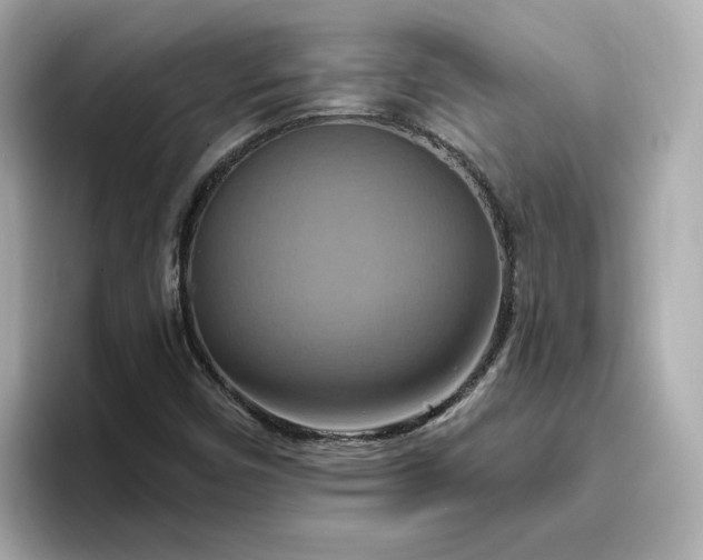 X0000096971450200802221353