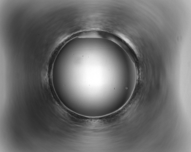 X0000096971452200802221352