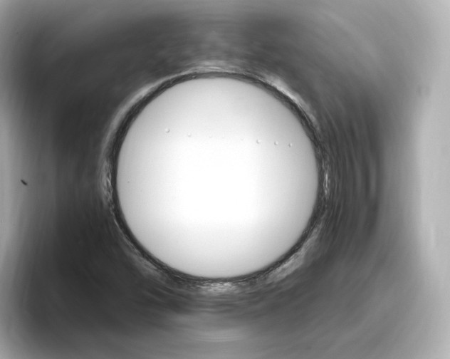 X0000096971454200802221352