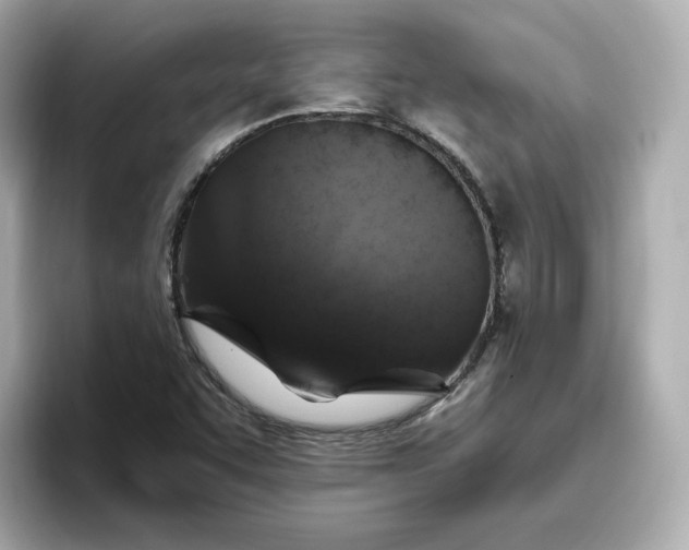 X0000096971455200802221352