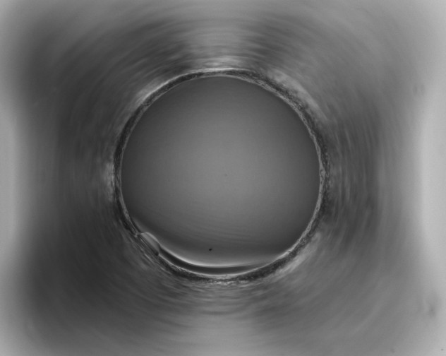 X0000096971457200802221352