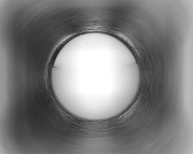 X0000096971458200802221352