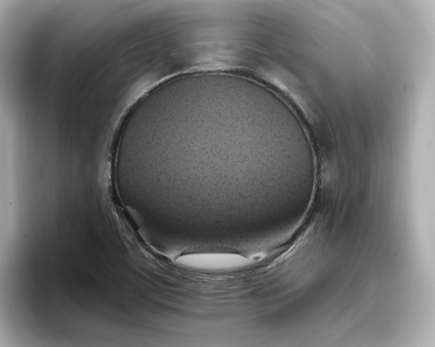 X0000096971459200802221352