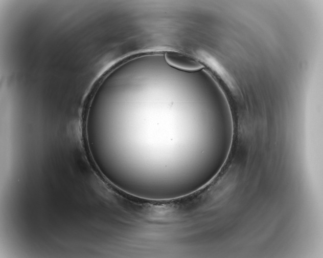 X0000096971460200802221352